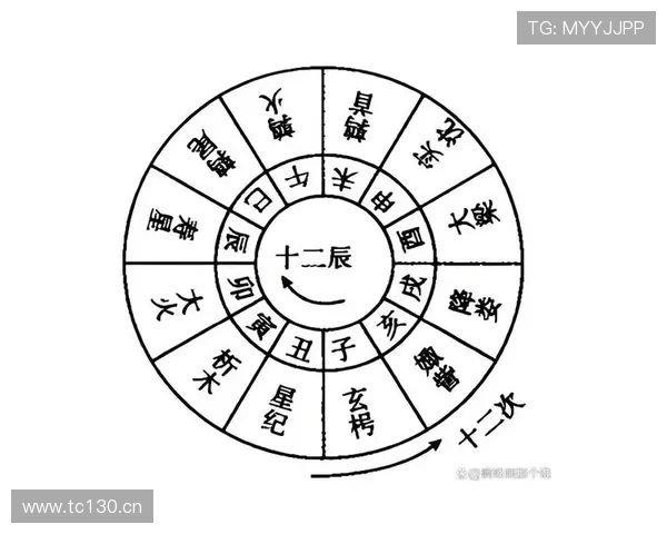 南宫28网页版如何快速升级和获取稀有装备的实用技巧全攻略指南